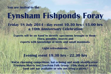 Eynsham Fishponds Foray - Photographer Paul Hughes