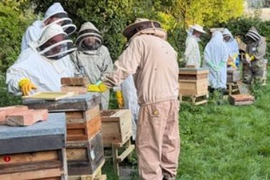 Beekeeping sessions  - Photographer Chris Humphrey