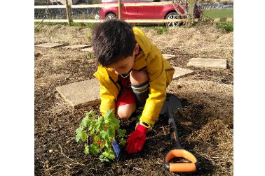 Spring planting #1 - a boy planting in the ground - Photographer Milly Chen
