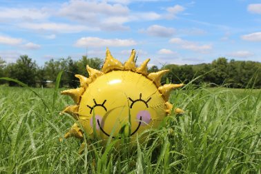 Make sure you're ready for the summer - a sunshine balloon in grass - Photographer Laura Pratt